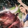 Intex Rodeo gonflable – Image 2