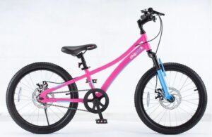 Velo 20 pouces Chipmunk Explorer rose